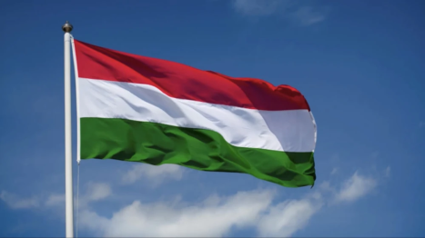 The Flag of Hungary; Image associated with the song.